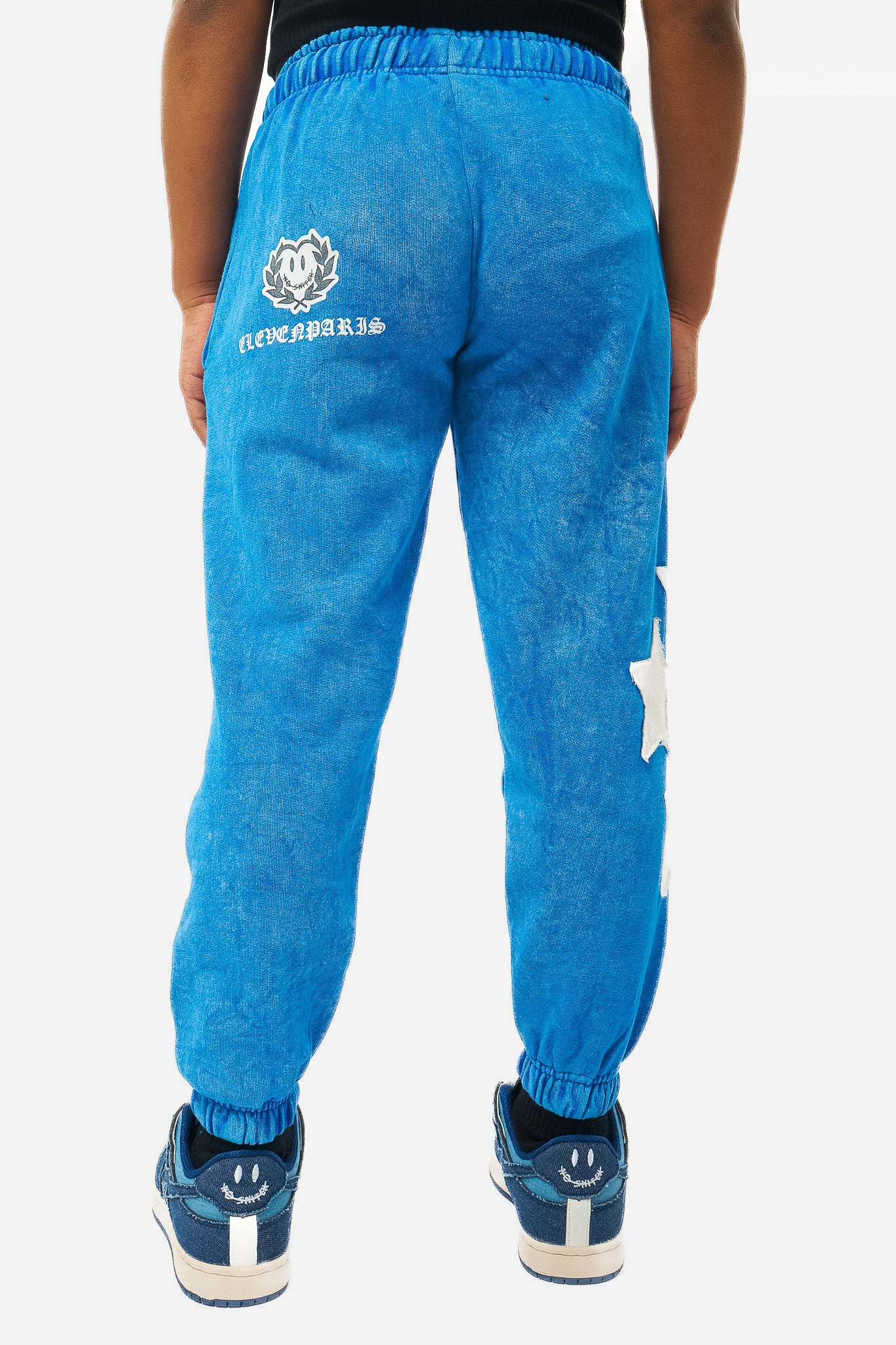 Paley Bleu - Image 2