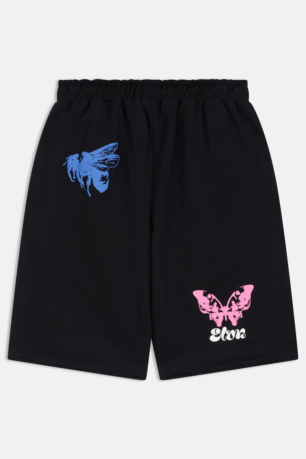 Palme Noir - Image 2